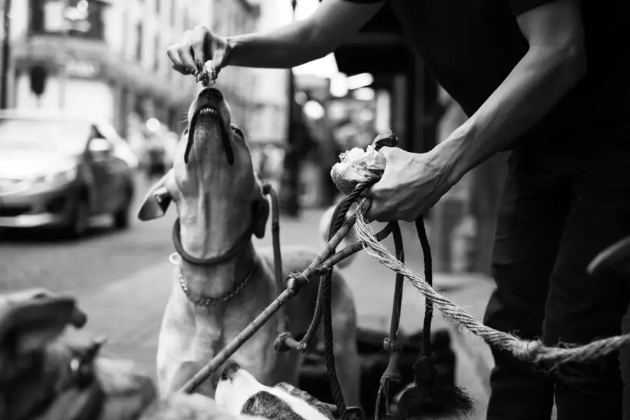 commercial photography black and white